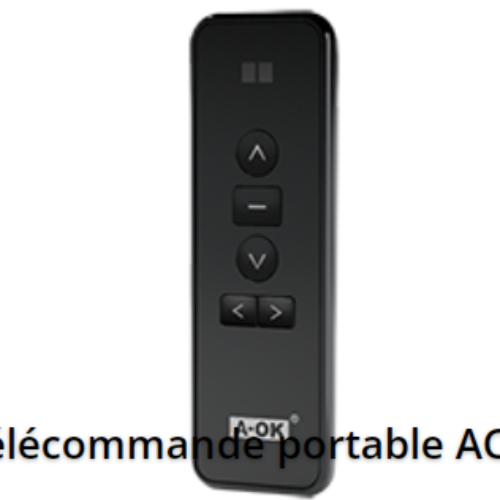 Télécommandes AC123-16 – 16 CANAUX – 433MHz – 701090346
