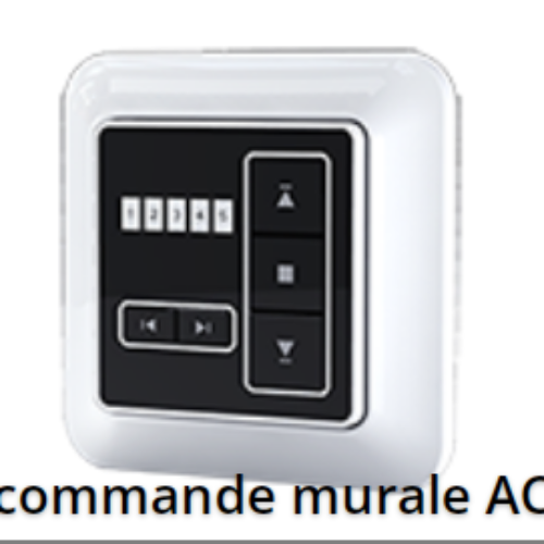 Télécommandes AC133-01, 1 CANAL, 433 MHz